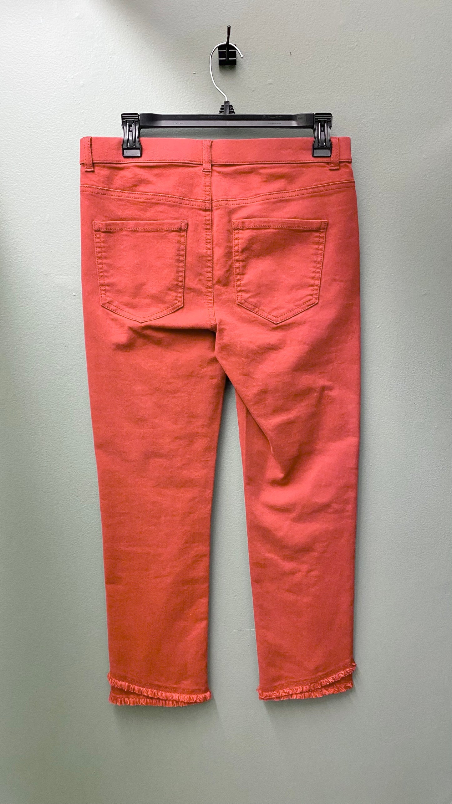 APNY Pull-On Frayed Jean