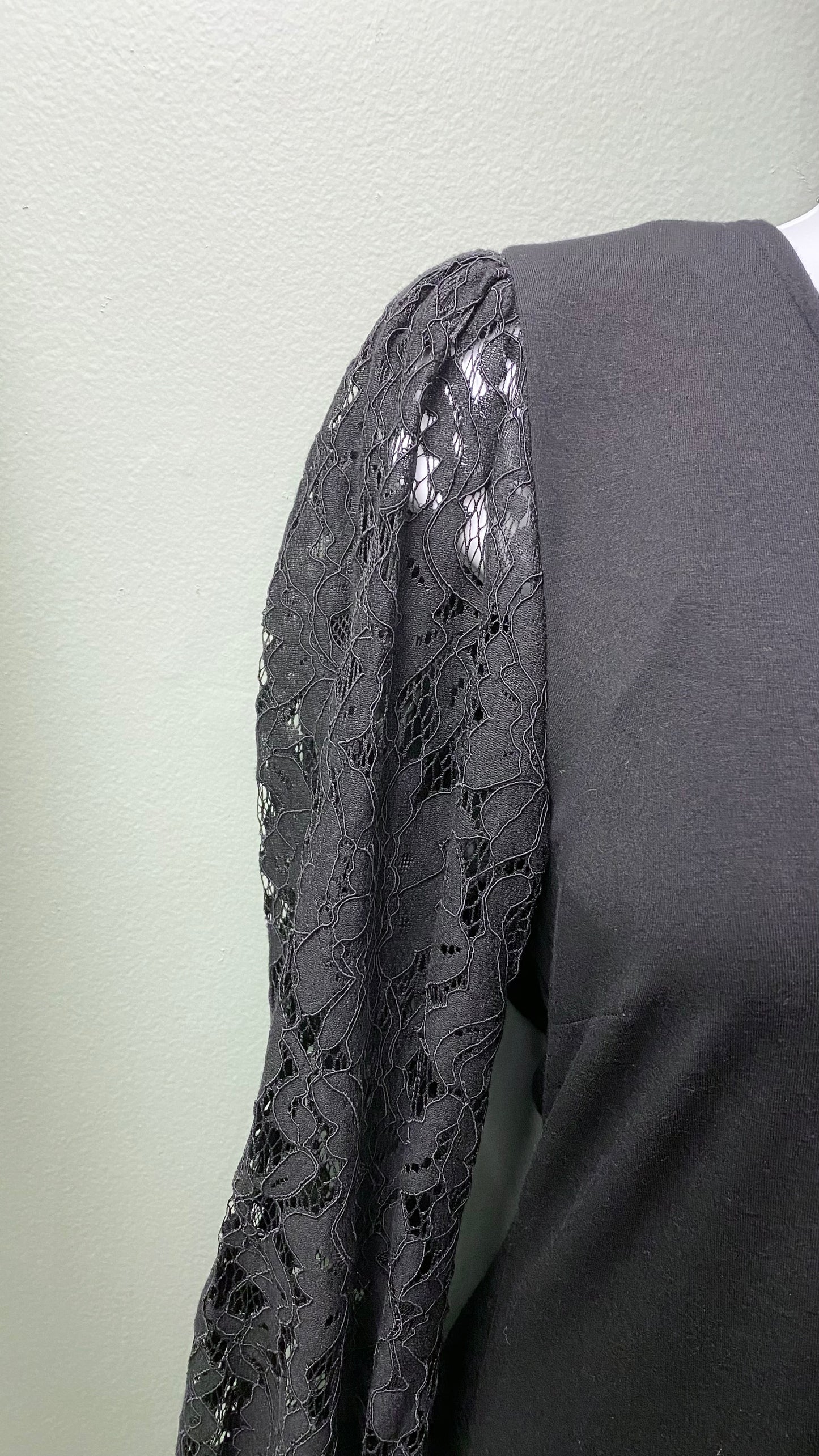 Karen Kane Black Dress with Lace Sleeve