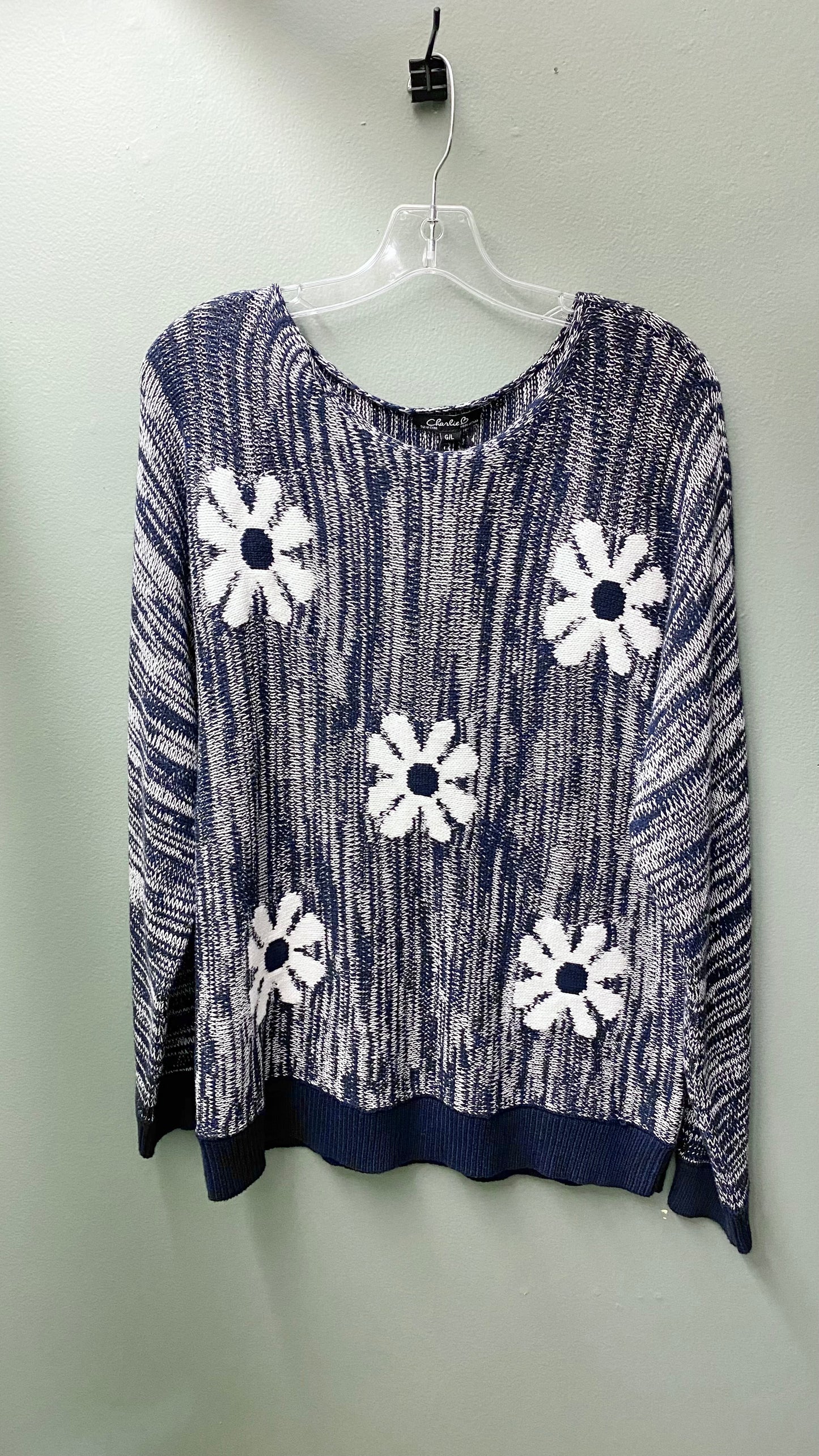 Clearance - S, L, XL - Charlie B Dolman Sleeve (Tan or Blue)